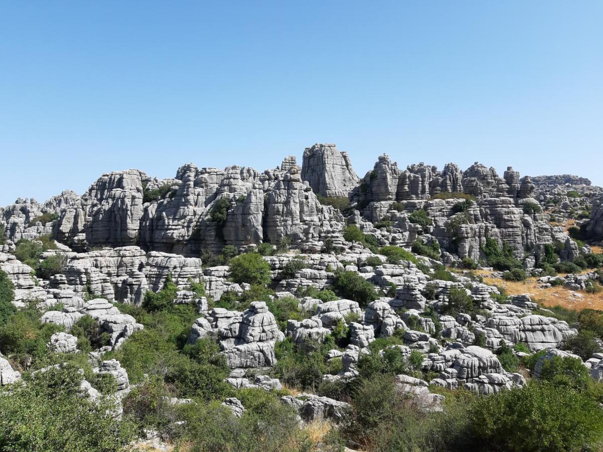 Casa Lo Pinto Private Pool Villa South Of El Torcal -Unesco- La Joya Екстериор снимка